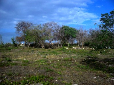 Fraccionamiento Villa Magna del Sur, Mérida, Yucatán (04)