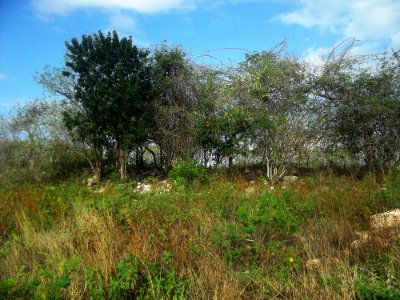 Fraccionamiento Villa Magna del Sur, Mérida, Yucatán (13)