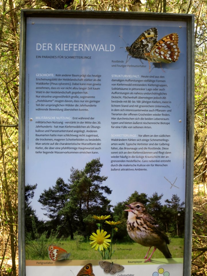 Fröttmaninger Heide 11