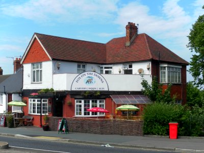 Fox on the Downs pub, 291 Elm Grove, Brighton (August 2013) (2)