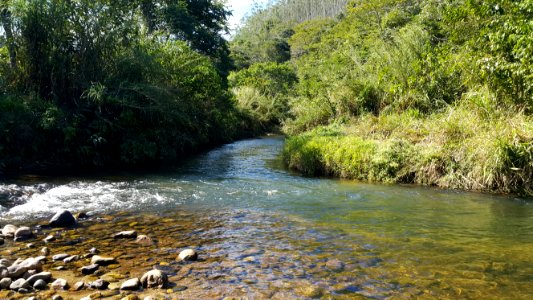 Foz do Ribeirão do Oliveira no Rio Piracuama