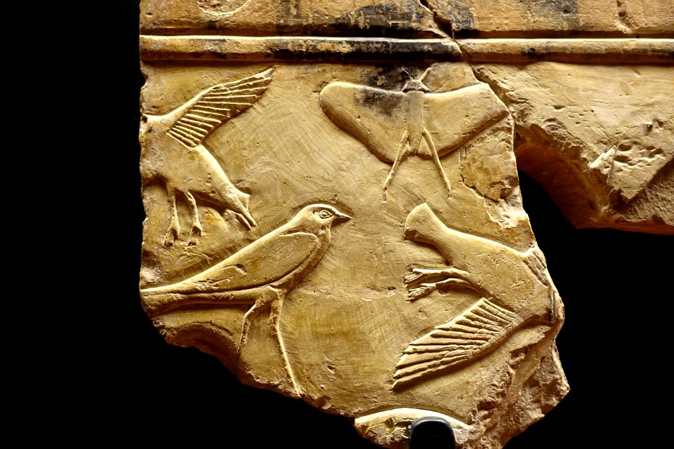 Fragment of a tomb relief, Thebes, 26th Dynasty, 664-525 BC, limestone, detail 2 - Museo Gregoriano Egizio - Vatican Museums - DSC00791