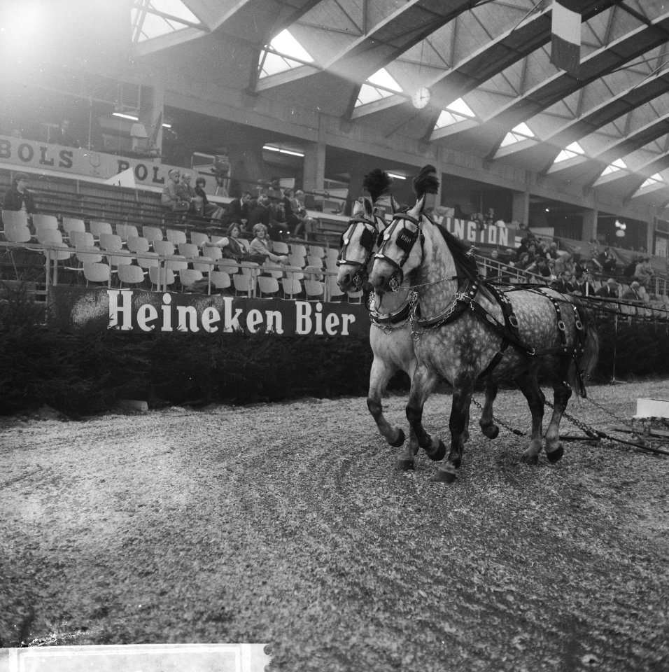 Fraai uitgedost span paarden, Bestanddeelnr 918-3657