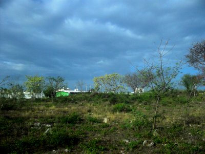 Fraccionamiento Villa Magna del Sur, Mérida, Yucatán (05)