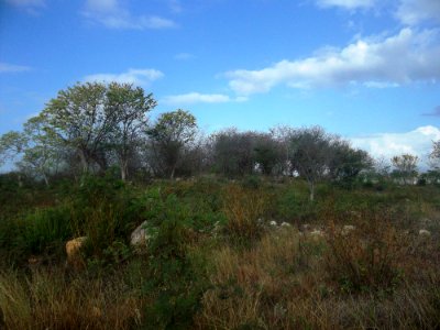 Fraccionamiento Villa Magna del Sur, Mérida, Yucatán (14)