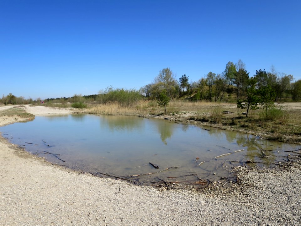 Fröttmaninger Heide 1