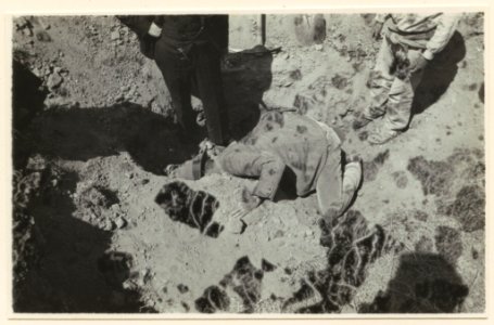 Från Dr. Vaillants grävningar - SMVK - 0307.a.0050