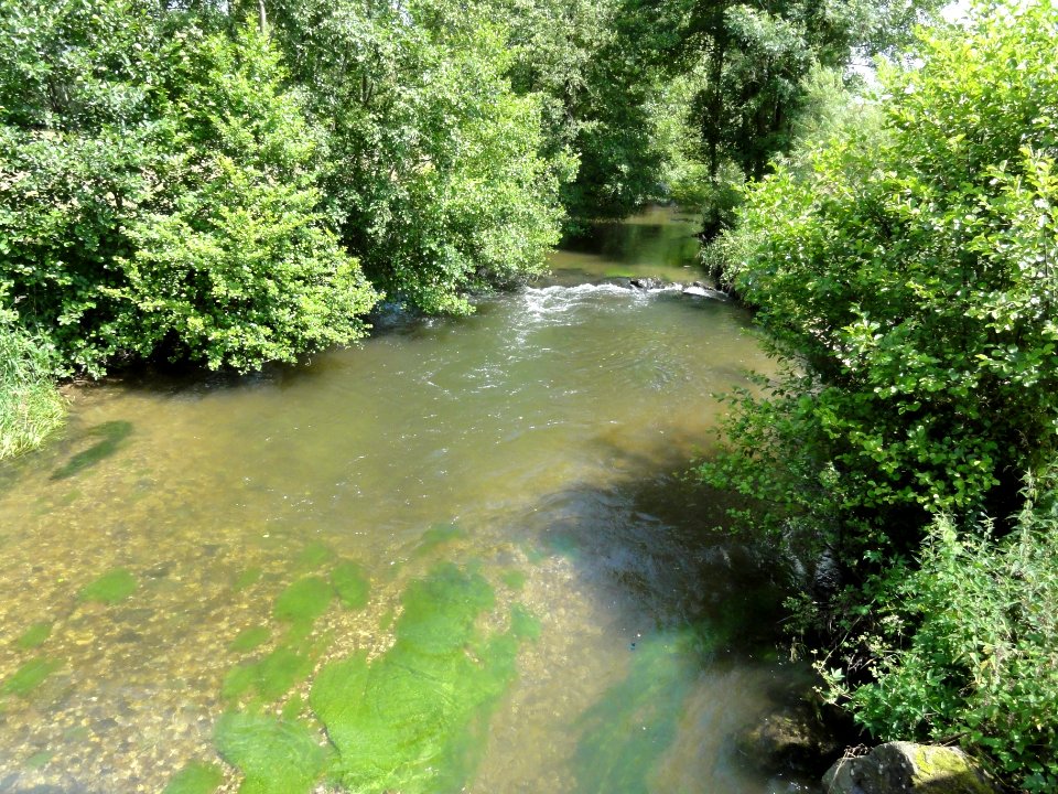 Frémonville (M-et-M) la Vezouze (02)