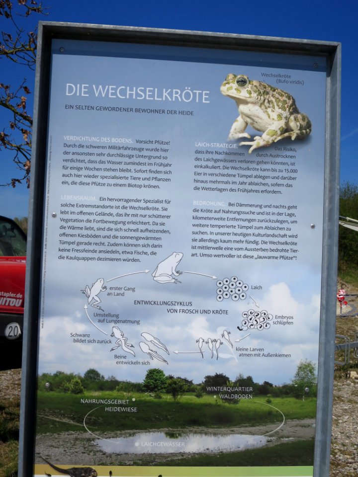 Fröttmaninger Heide 13
