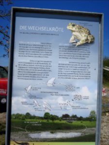 Fröttmaninger Heide 13