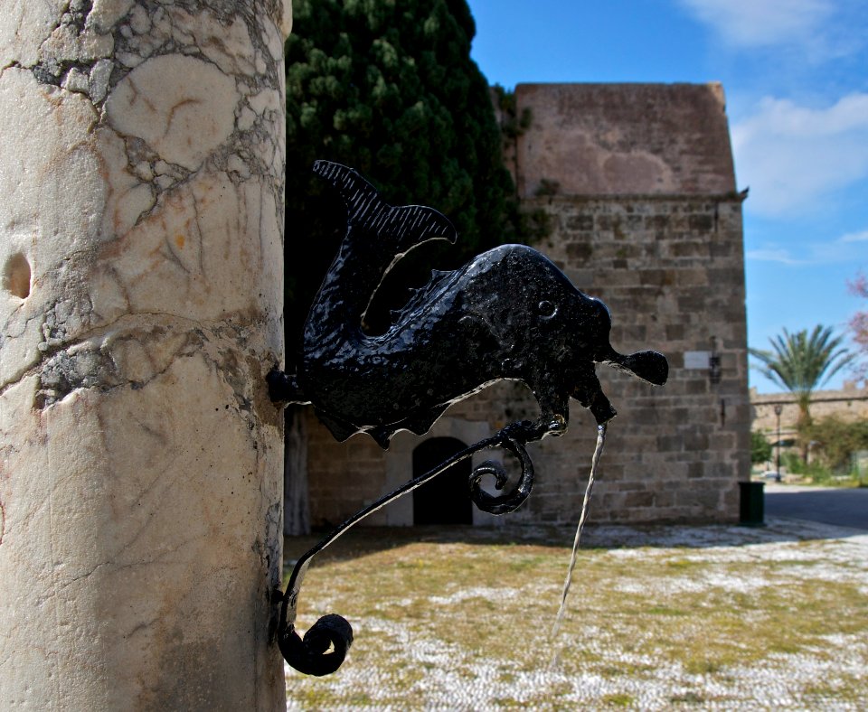 Fountain fish rhodes