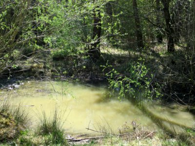 Fröttmaninger Heide 6
