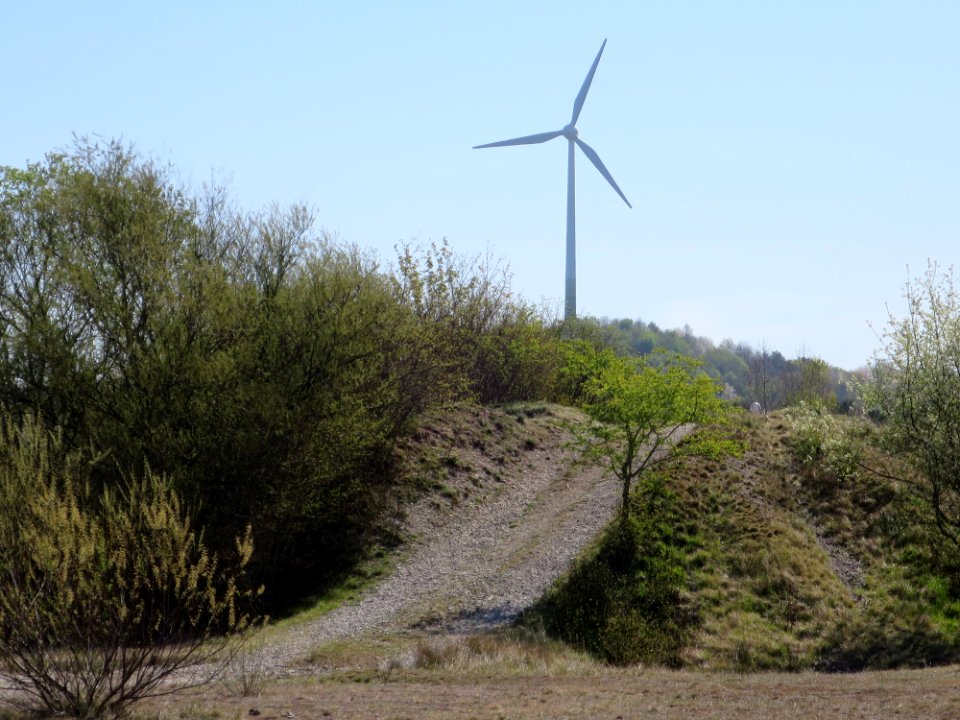 Fröttmaninger Heide 3