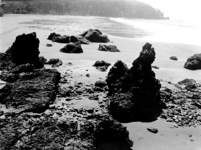 Från stranden vid Cocalito under ebb. Cocalito. Panama - SMVK - 004084