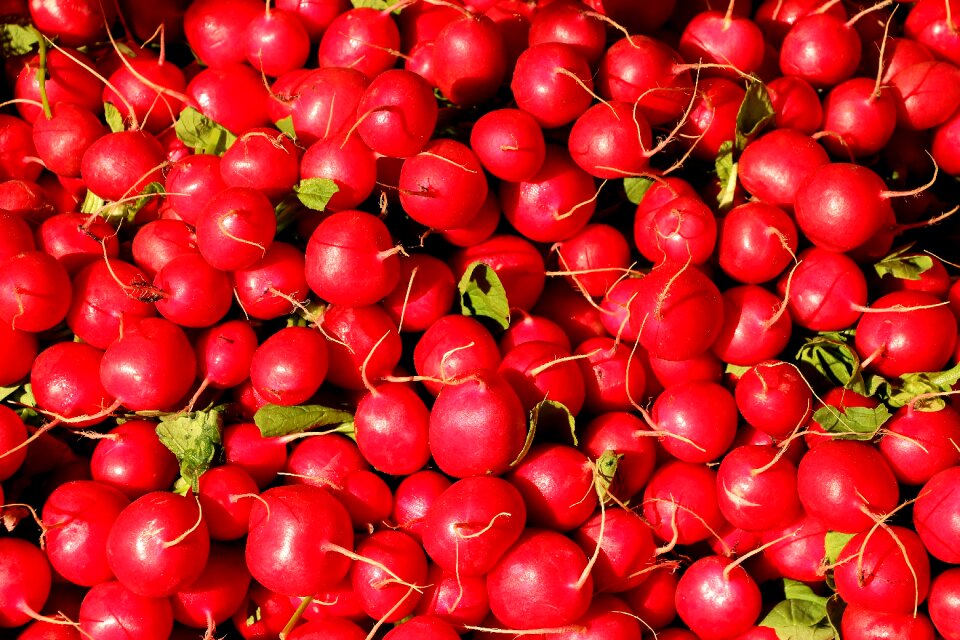 Food eat market fresh vegetables