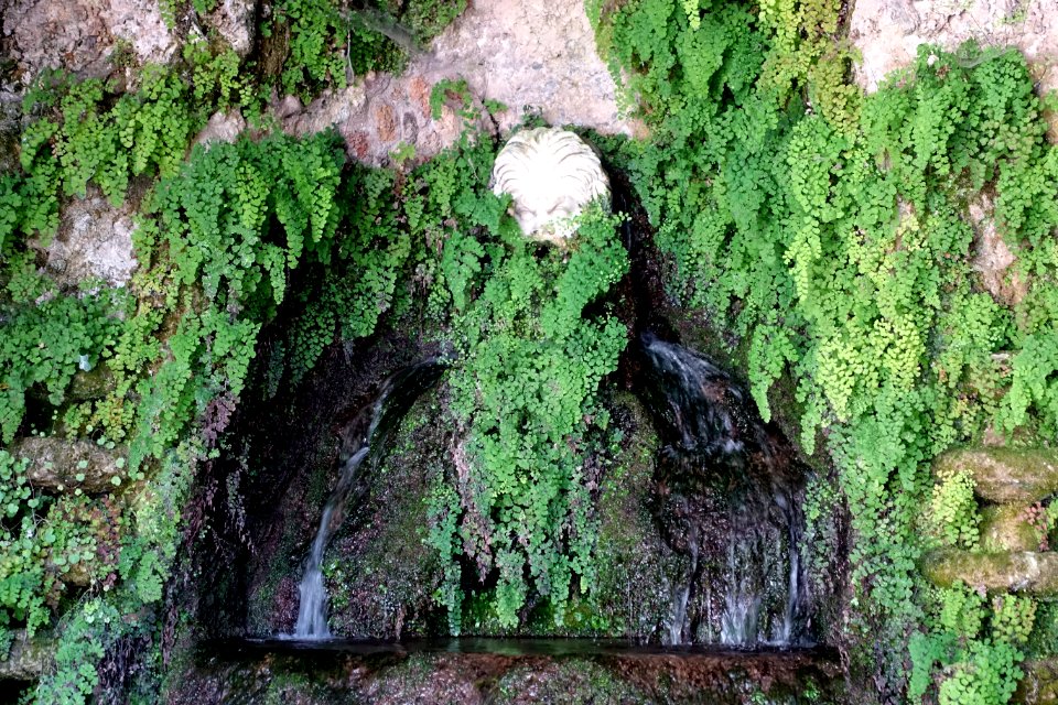 Fountain - Villa d'Este - Tivoli, Italy - DSC04081
