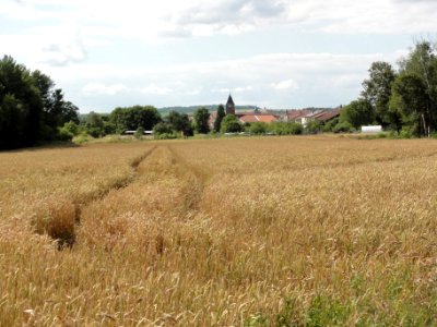 Fréménil (M-et-M) vue du village