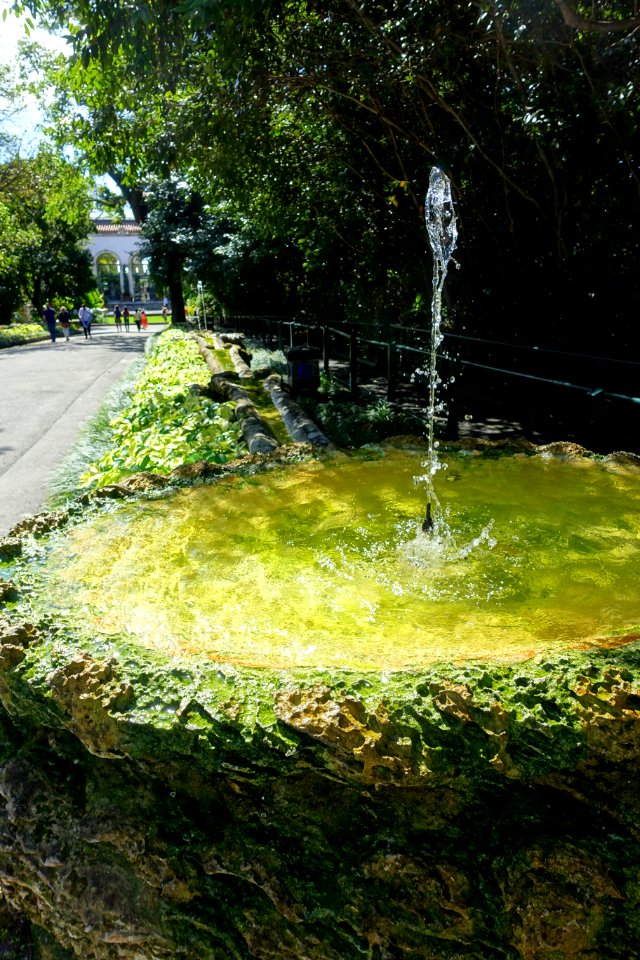 Fountain - Vizcaya Museum and Gardens - Miami, Florida - DSC08277