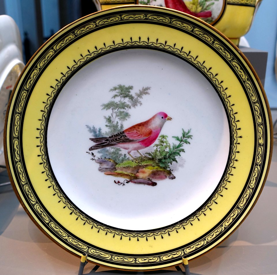 Four plates with birds, painters Edme-Francois Bouillat, Sophie Binet, Etienne Evans, Pierre-Joseph Rosset, 1 of 4, Sèvres porcelain, 1793, soft-paste porcelain - Wadsworth Atheneum - Hartford, CT - DSC05474