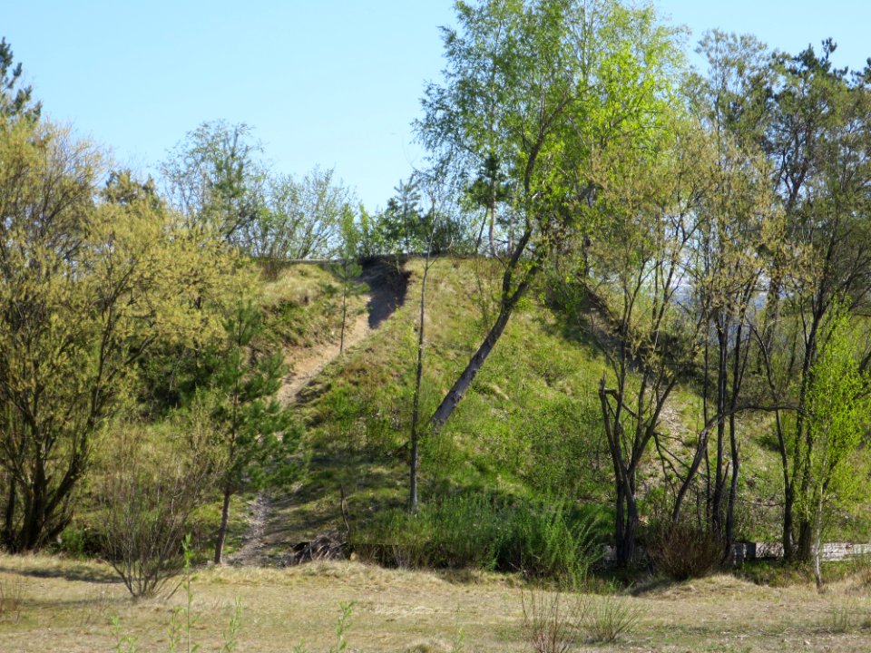 Fröttmaninger Heide 2