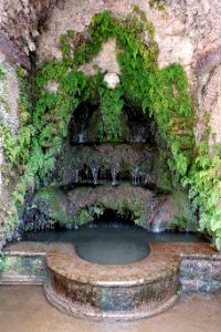 Fountain - Villa d'Este - Tivoli, Italy - DSC04063