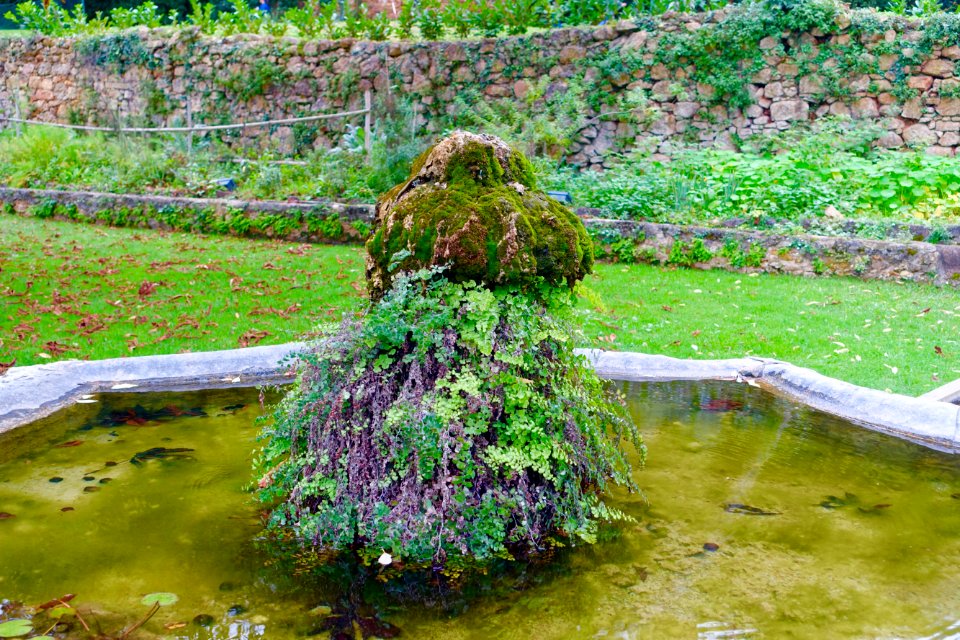 Fountain - Quinta das Lágrimas - Coimbra, Portugal - DSC08667