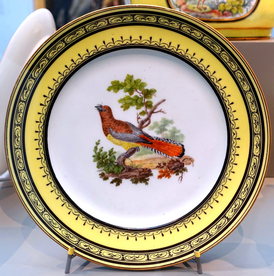 Four plates with birds, painters Edme-Francois Bouillat, Sophie Binet, Etienne Evans, Pierre-Joseph Rosset, 3 of 4, Sèvres porcelain, 1793, soft-paste porcelain - Wadsworth Atheneum - Hartford, CT - DSC05477