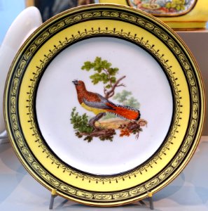 Four plates with birds, painters Edme-Francois Bouillat, Sophie Binet, Etienne Evans, Pierre-Joseph Rosset, 3 of 4, Sèvres porcelain, 1793, soft-paste porcelain - Wadsworth Atheneum - Hartford, CT - DSC05477
