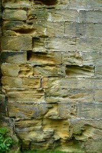 Fountains Abbey - North Yorkshire, England - DSC00627
