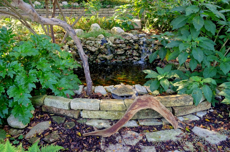 Fountain - Zilker Botanical Garden - Austin, Texas - DSC08862