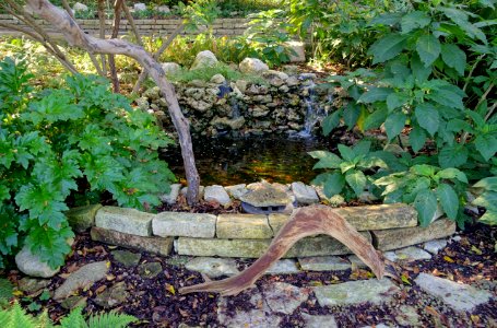 Fountain - Zilker Botanical Garden - Austin, Texas - DSC08862