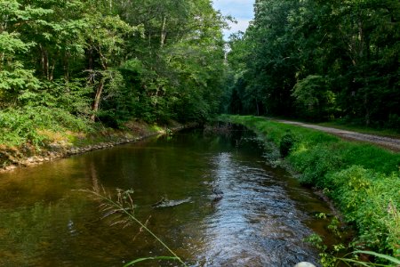 Four mile level of Log Wall, looking downstream from Carderock