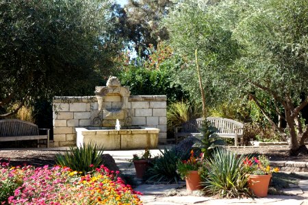 Fountain - Leaning Pine Arboretum - DSC05393