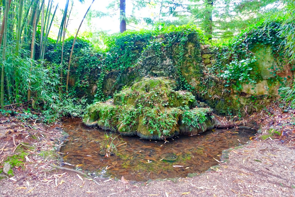 Fountain - Quinta das Lágrimas - Coimbra, Portugal - DSC08674