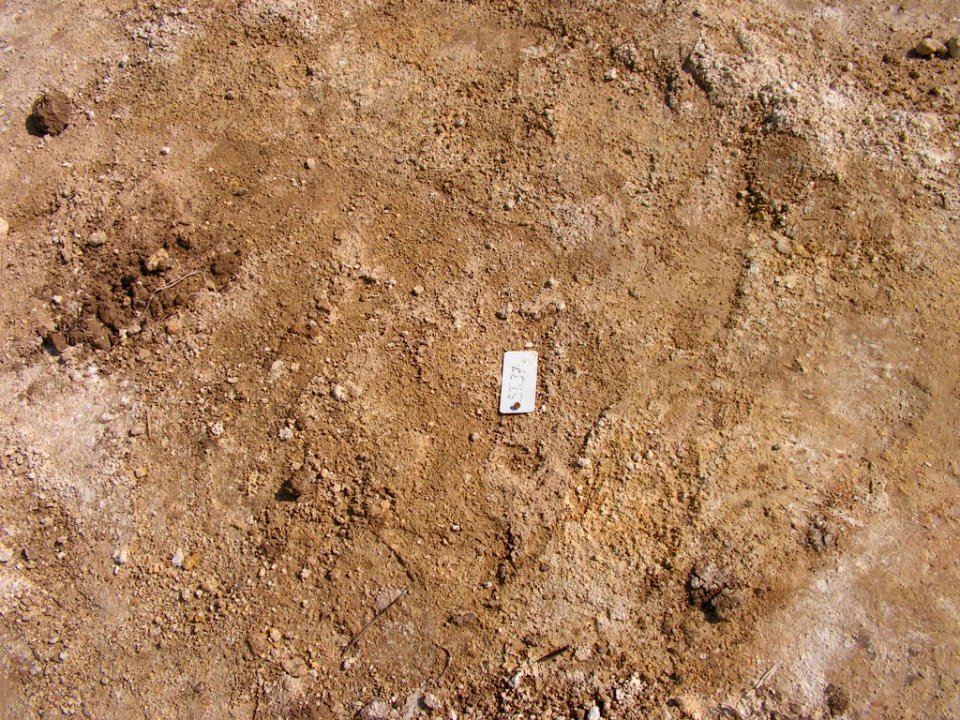 Fouilles archeologiques a Darvault (77) - 05
