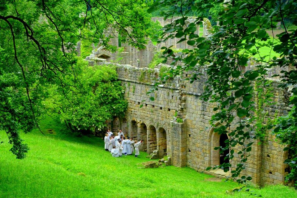 Fountains Abbey - North Yorkshire, England - DSC01010