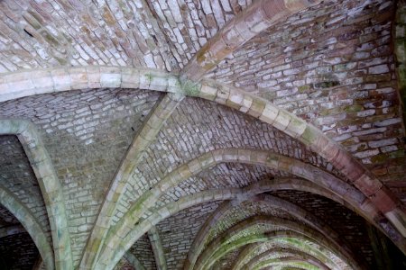 Fountains Abbey - North Yorkshire, England - DSC00578