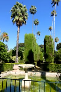 Fountain - Alcázar of Seville, Spain - DSC07515