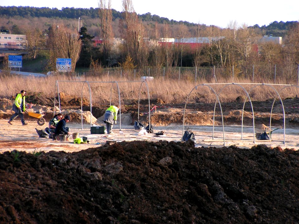 Fouilles archeologiques a Darvault (77) - 31