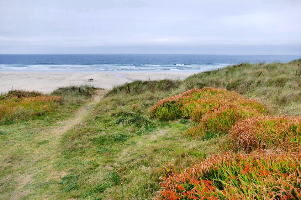 Cornwall coast beach