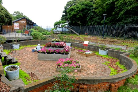 Foundations - Samuel Cocking Garden - Enoshima, Japan - DSC07741