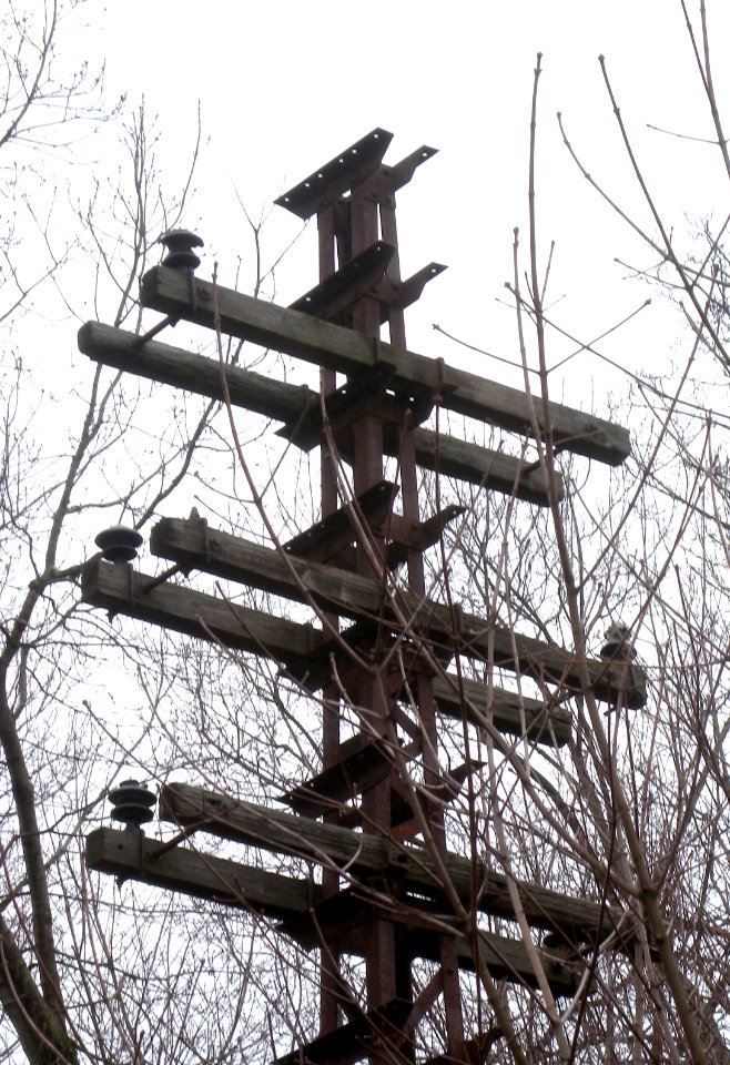Forest Park electric tree jeh