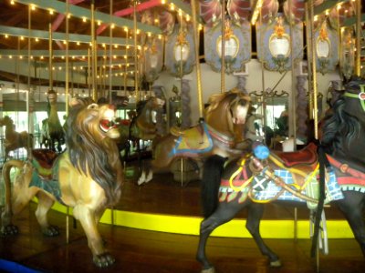 Forest Park lion jeh