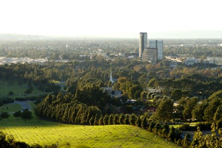 Forest Lawn Memorial Park view from Griffith Park 2015-11-07