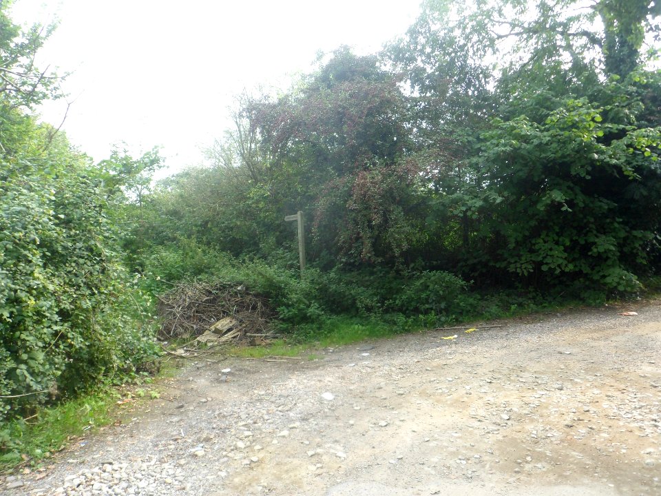 Forge Wood Neighbourhood, Crawley - Development in September 2014 (1)