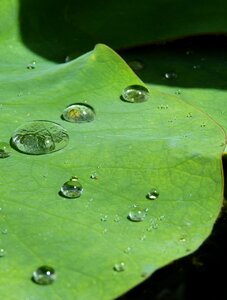 Structure raindrop transparent