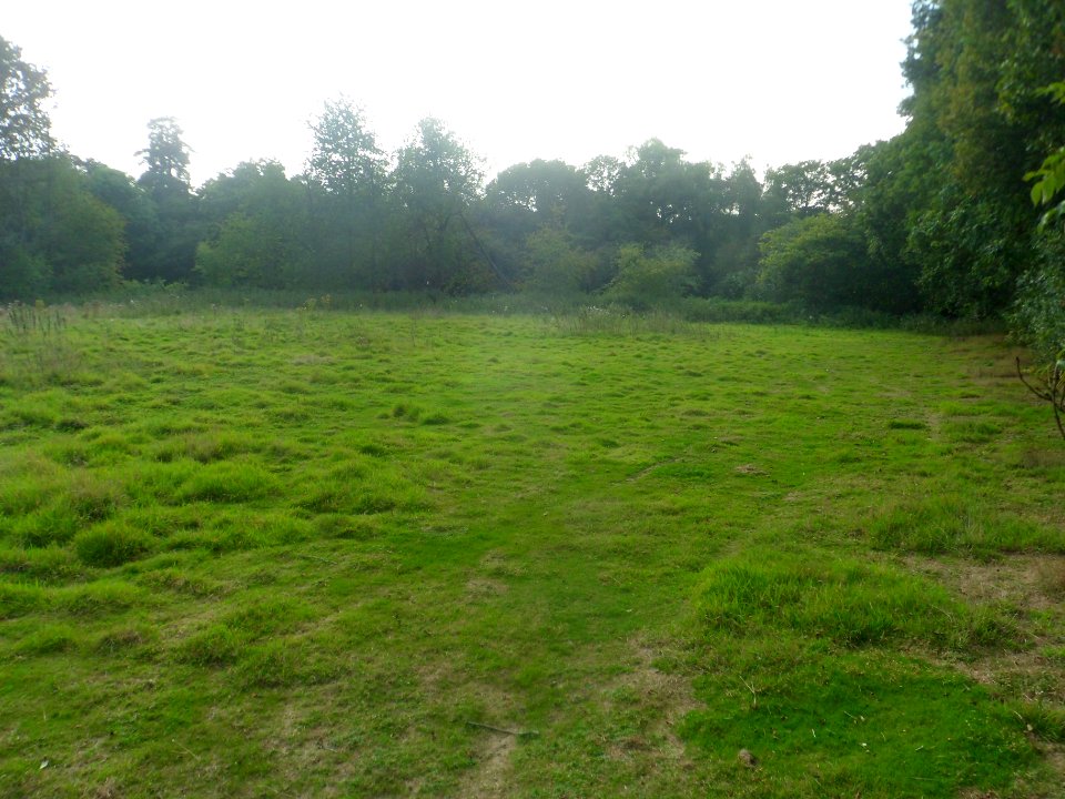 Forge Wood Neighbourhood, Crawley - Development in September 2014 (43)
