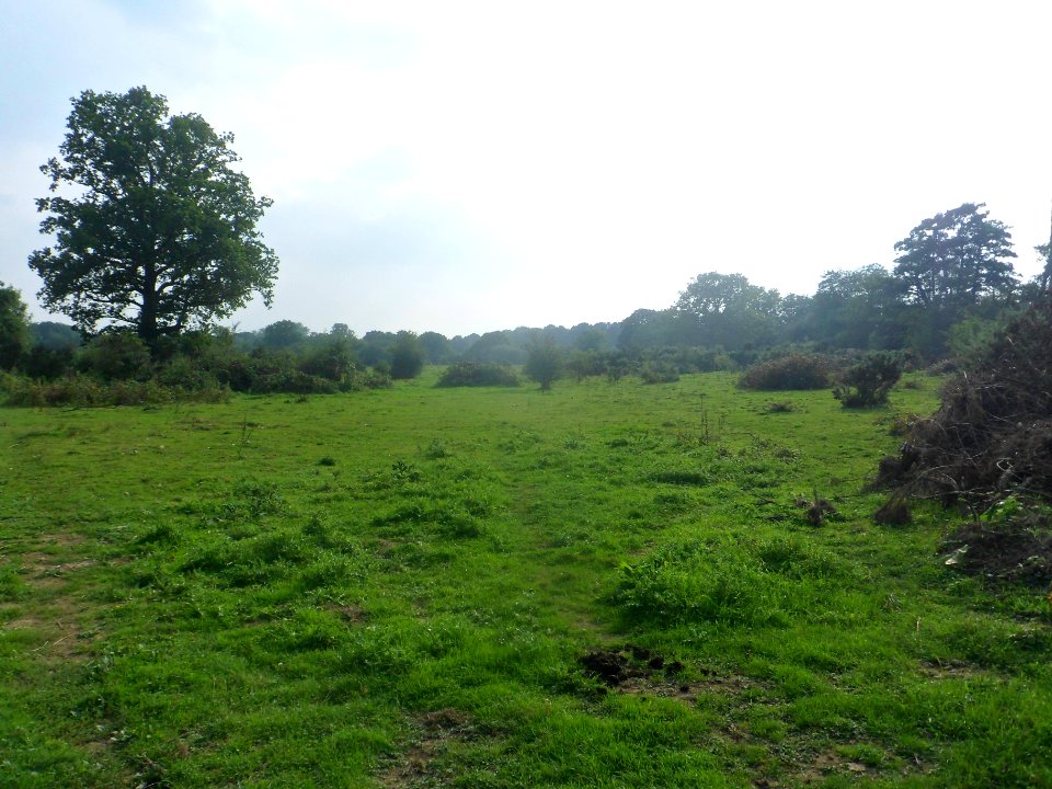Forge Wood Neighbourhood, Crawley - Development in September 2014 (10)