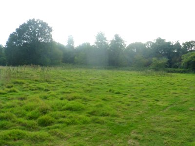 Forge Wood Neighbourhood, Crawley - Development in September 2014 (46)