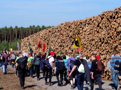 Forest walk at Jänschwalde open-pit mine 52